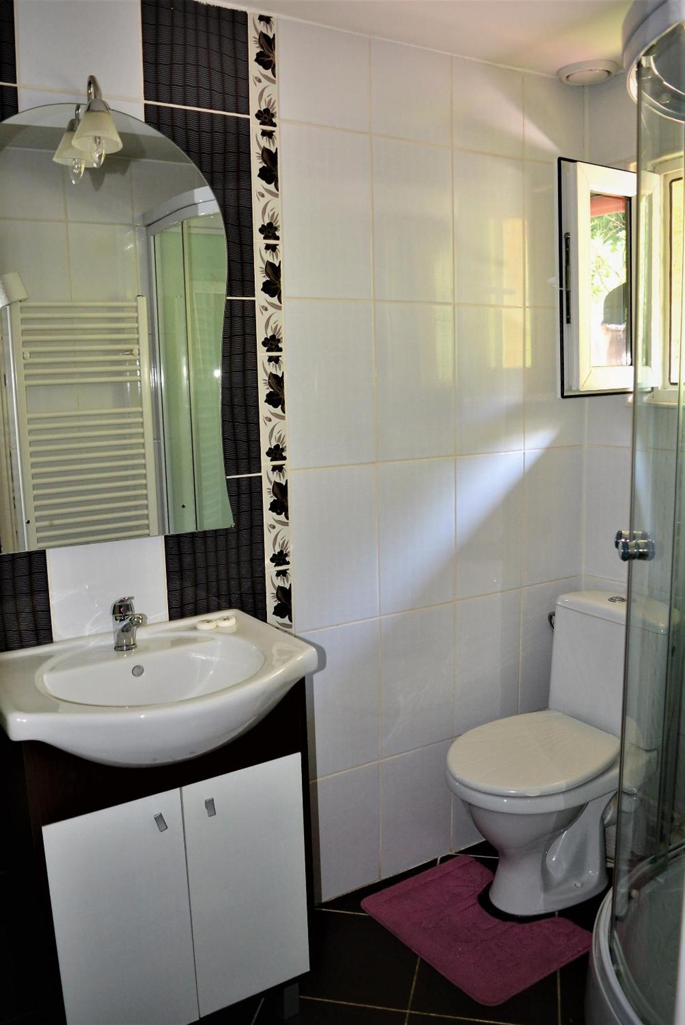Pensiunea Sorina Deea Hotel Bicazu Ardelean Bagian luar foto