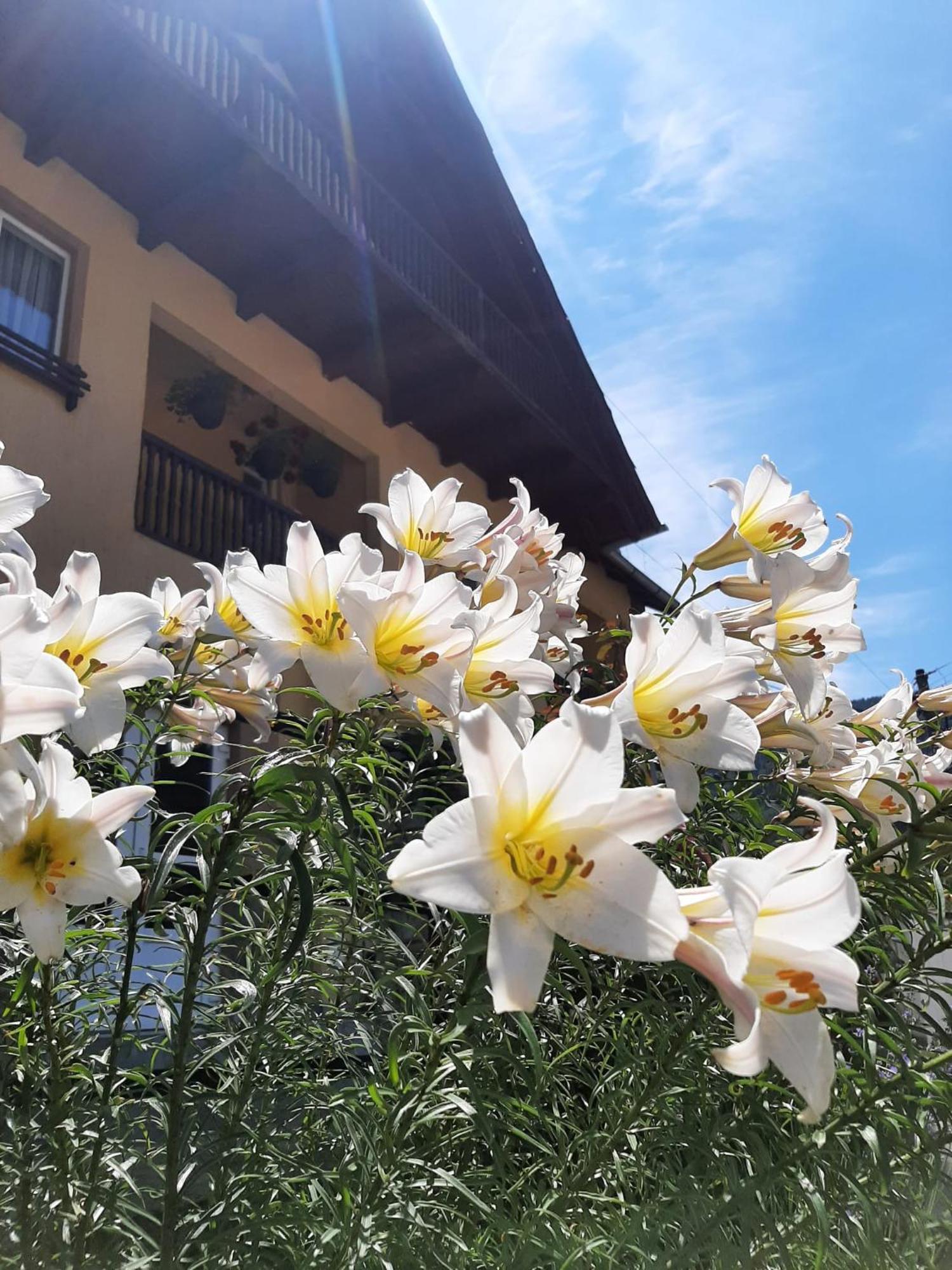Pensiunea Sorina Deea Hotel Bicazu Ardelean Bagian luar foto